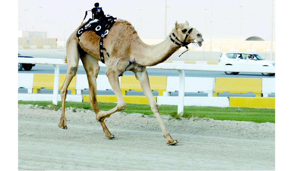 alarab