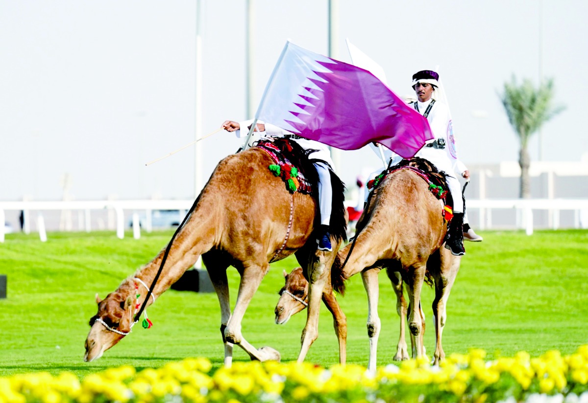 alarab