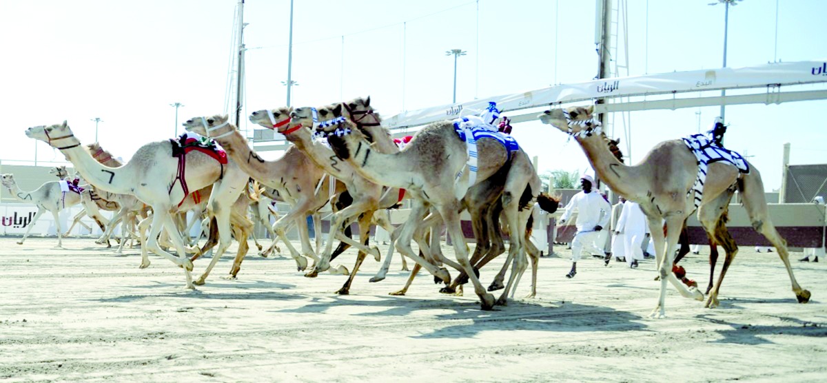 alarab