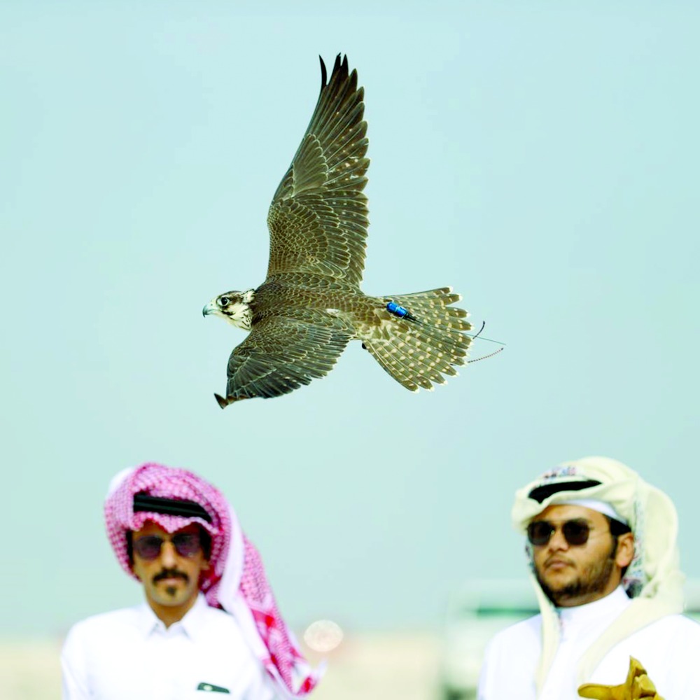 alarab