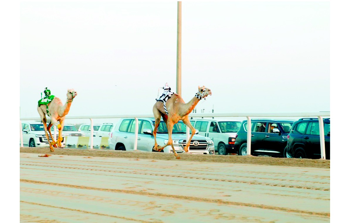 alarab