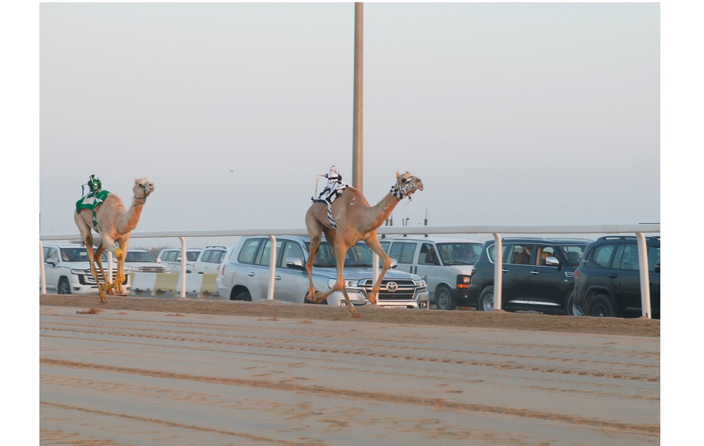 alarab