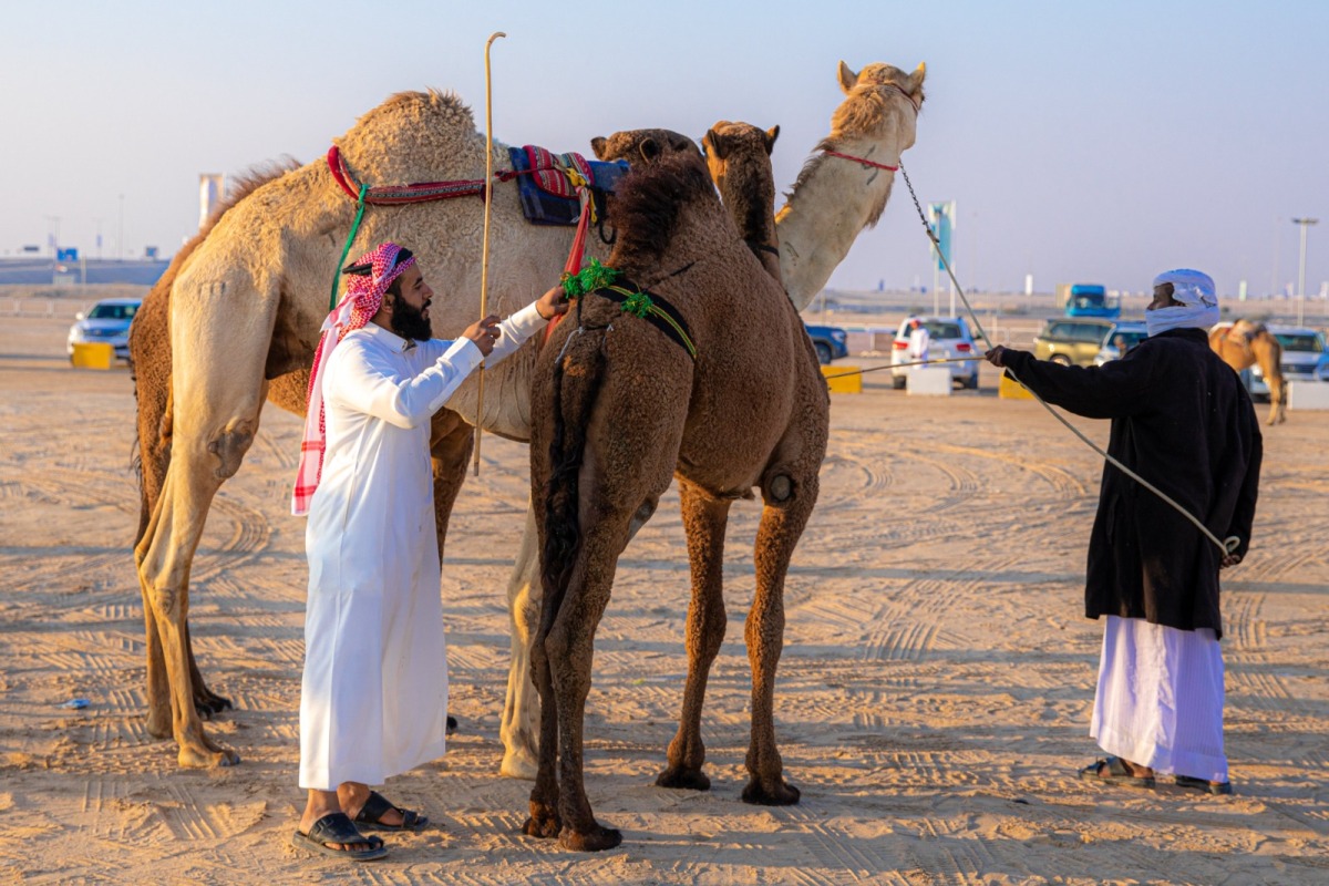 alarab