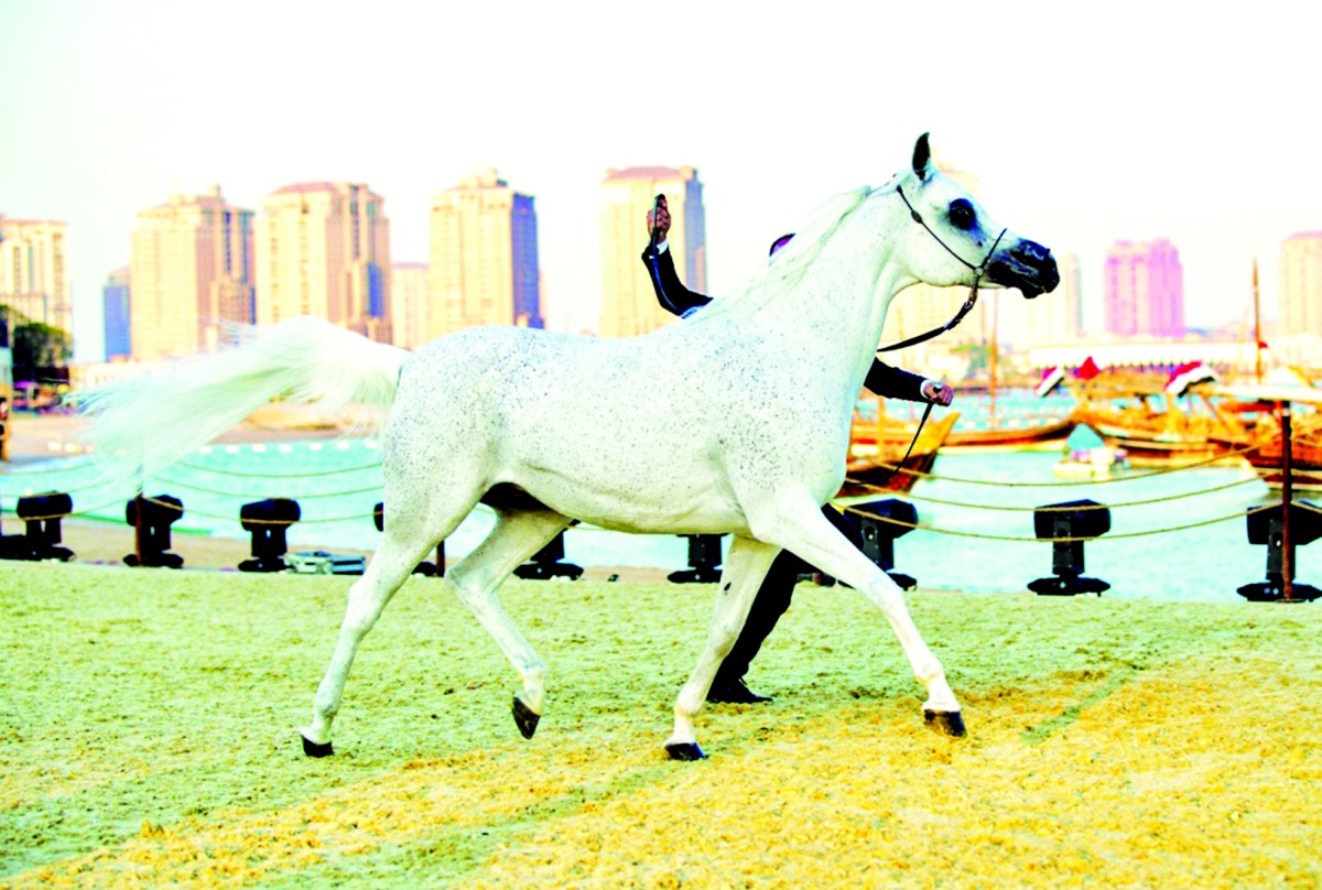 alarab
