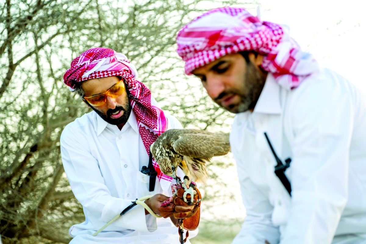alarab