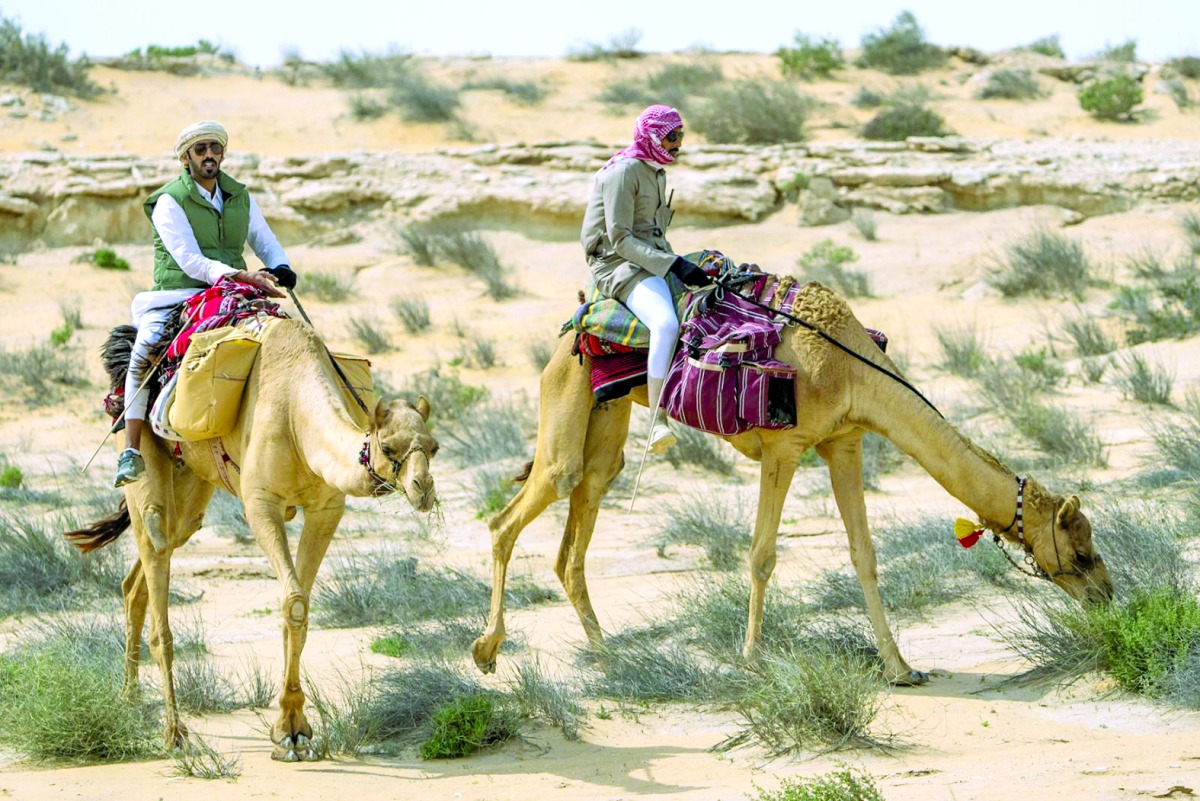 alarab