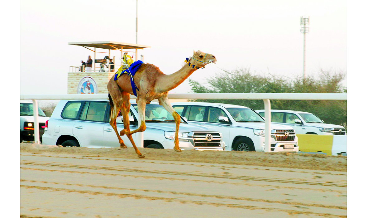 alarab