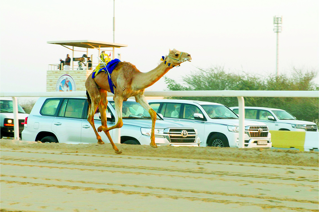 alarab