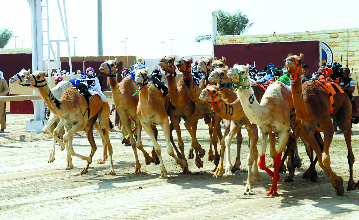 alarab