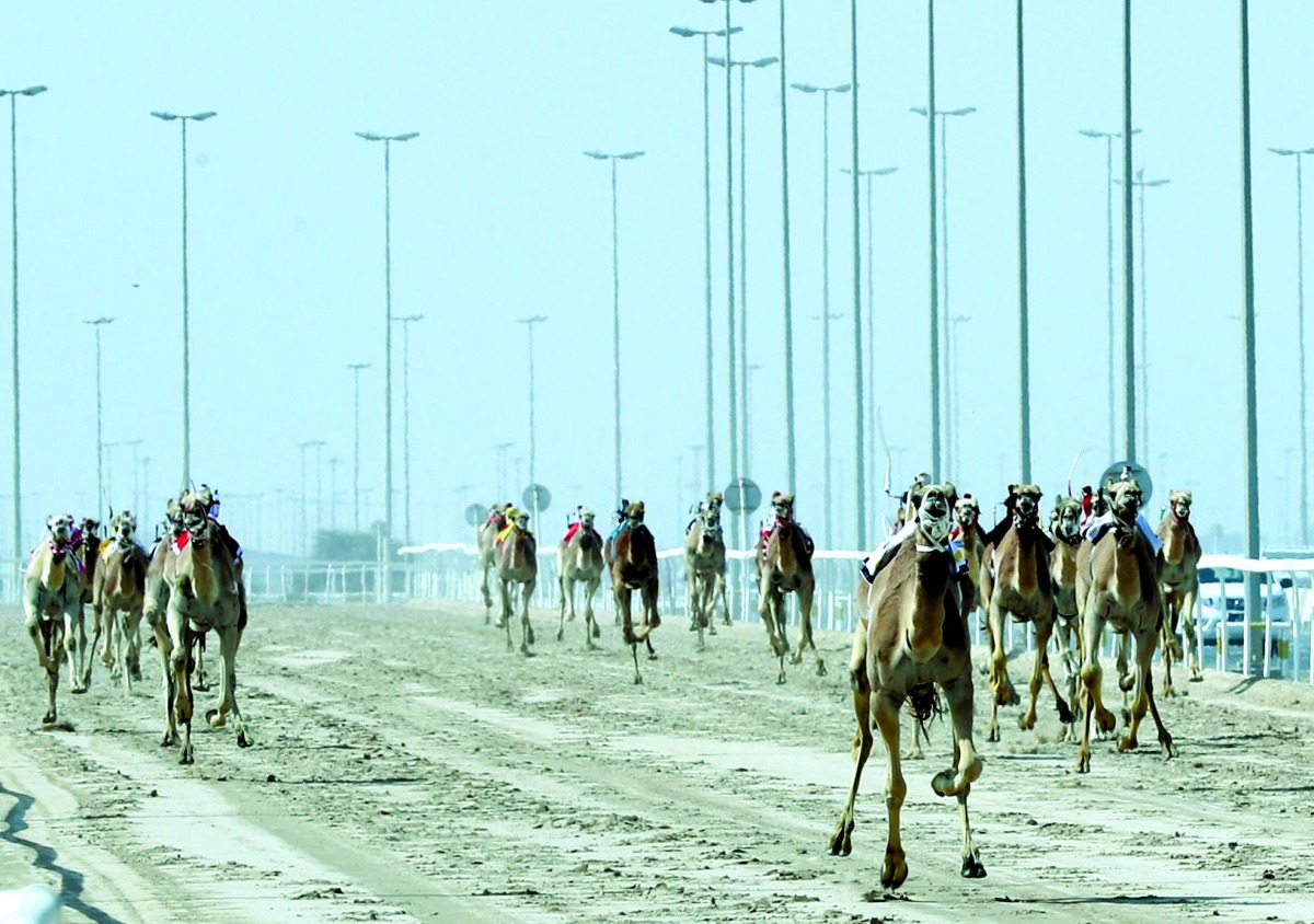 alarab