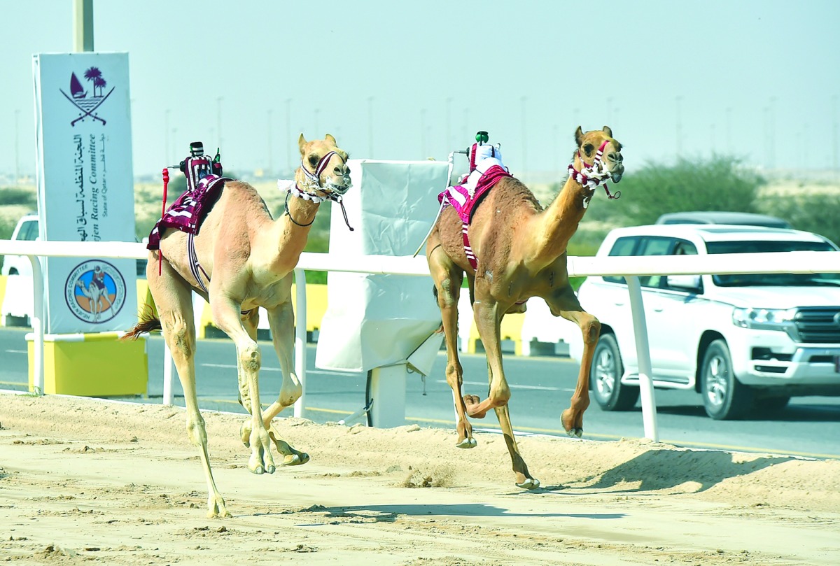 alarab