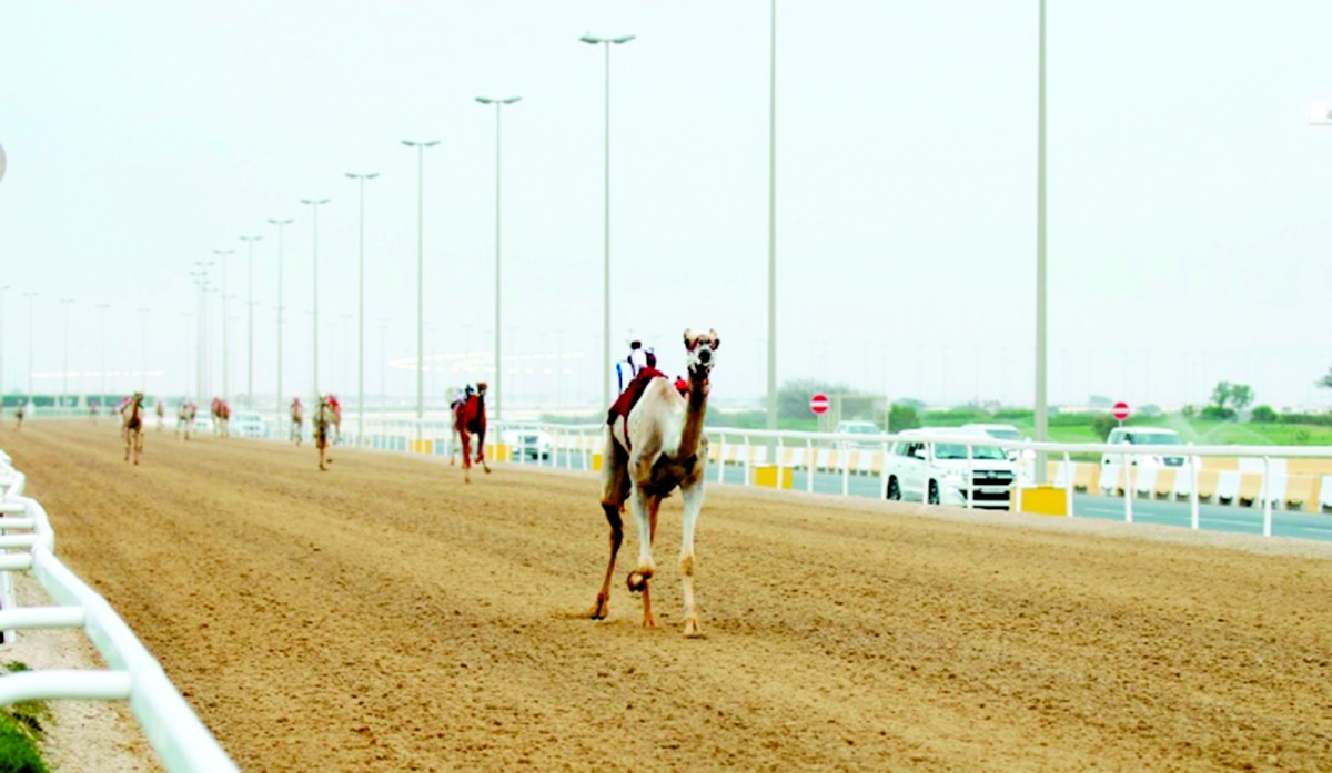 alarab
