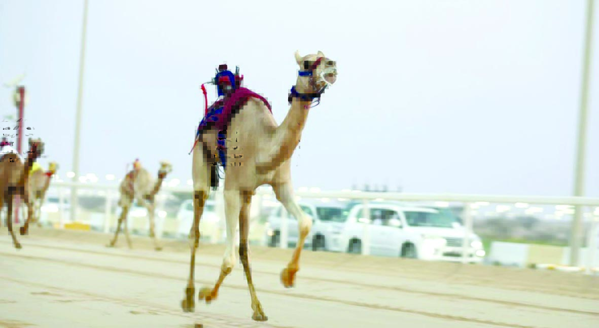 alarab