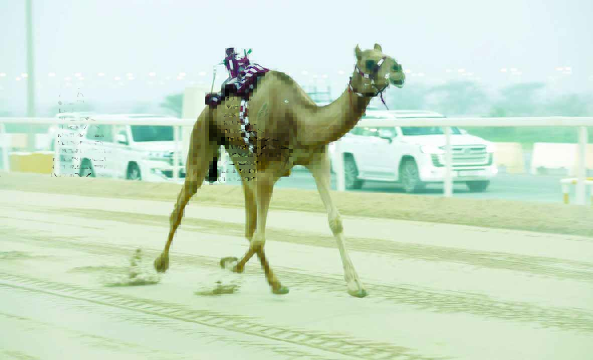 alarab