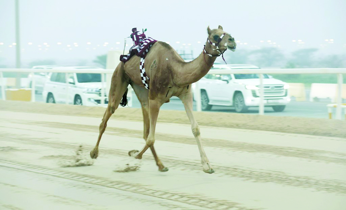 alarab