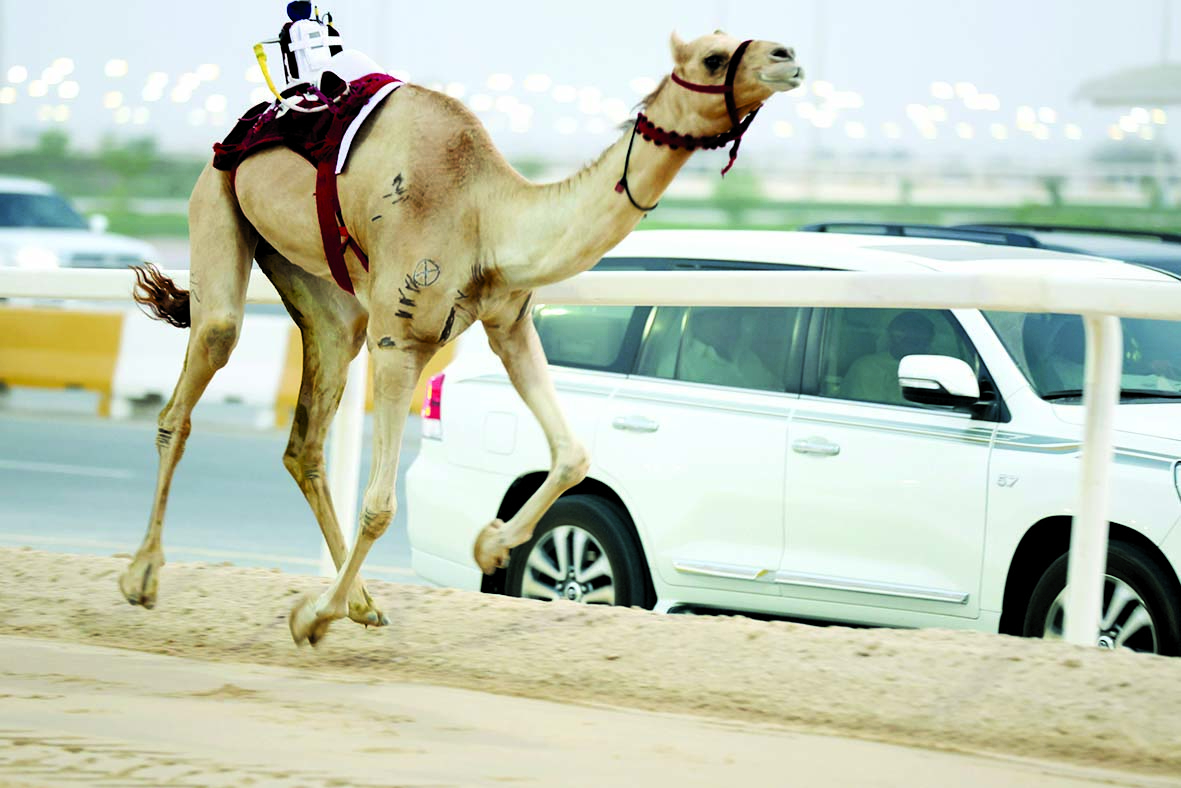 alarab
