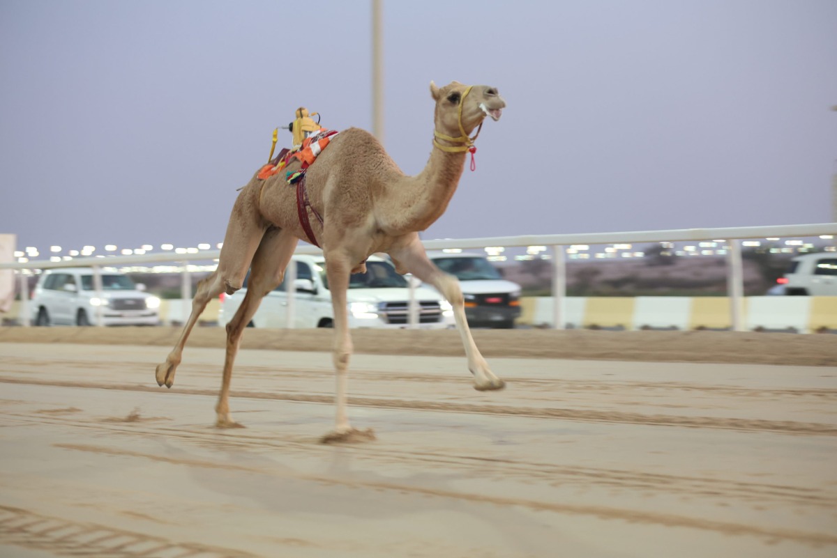 alarab