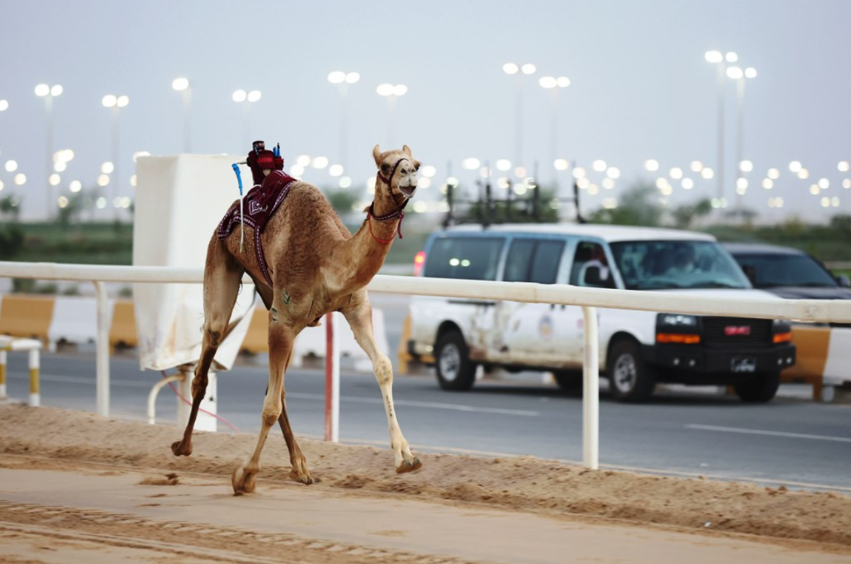 alarab