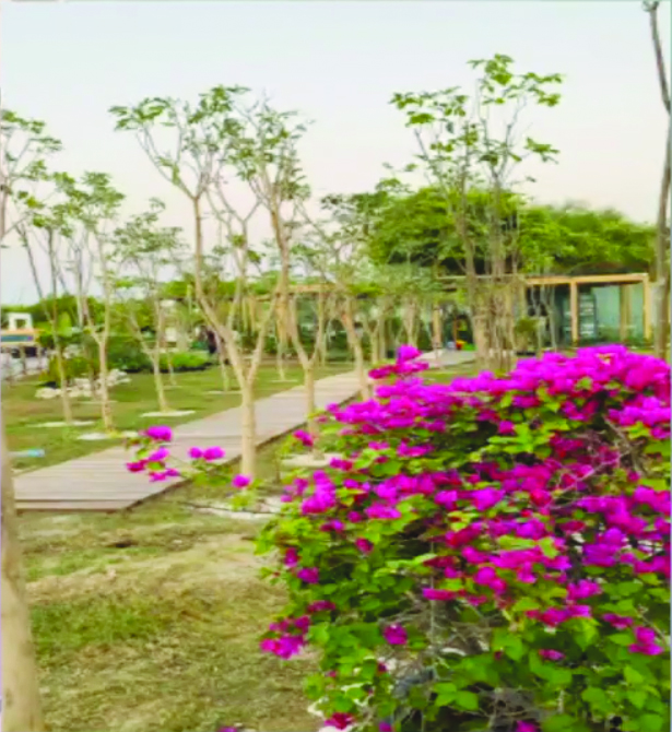 alarab