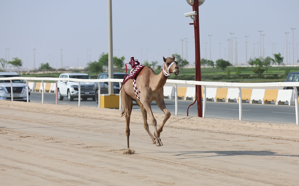 alarab