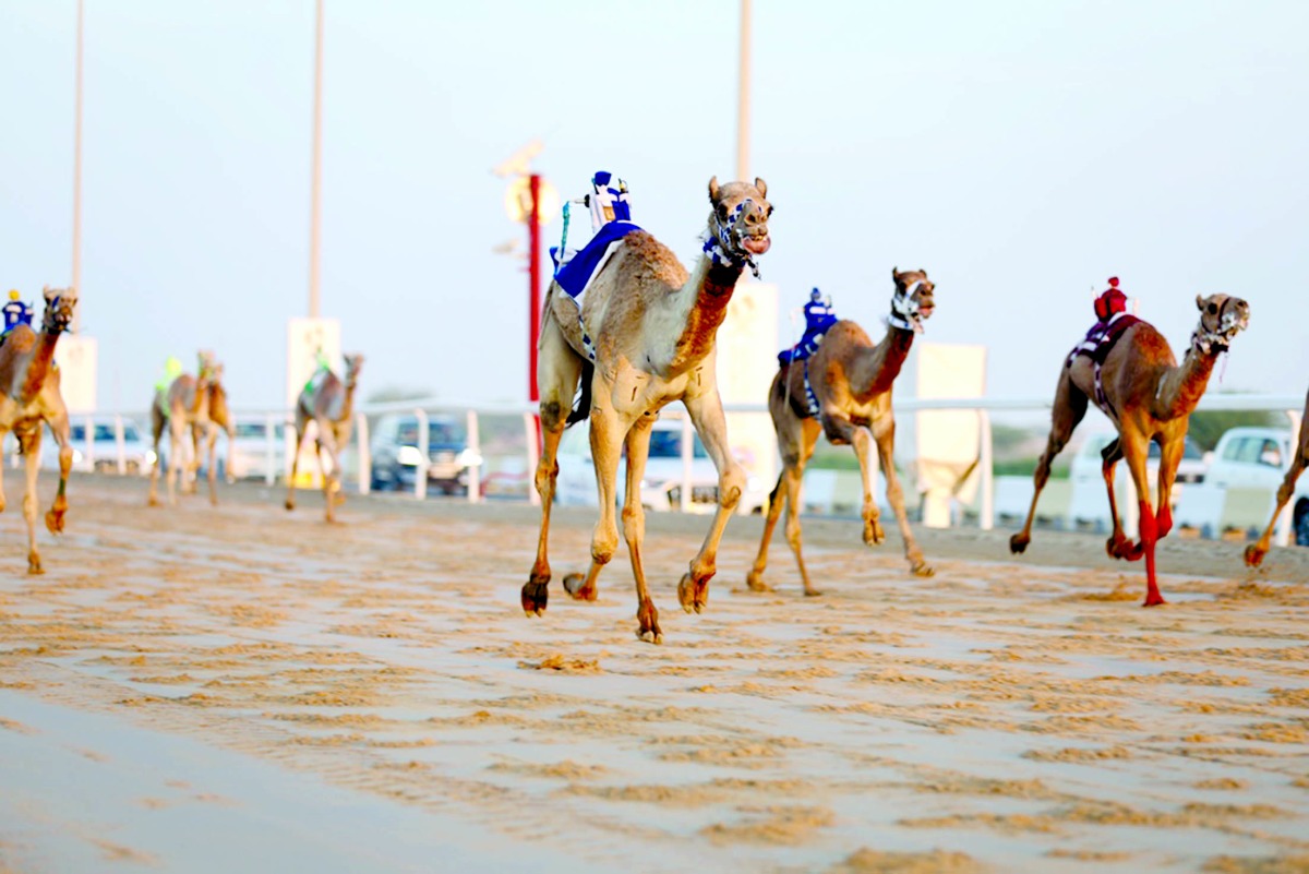 alarab