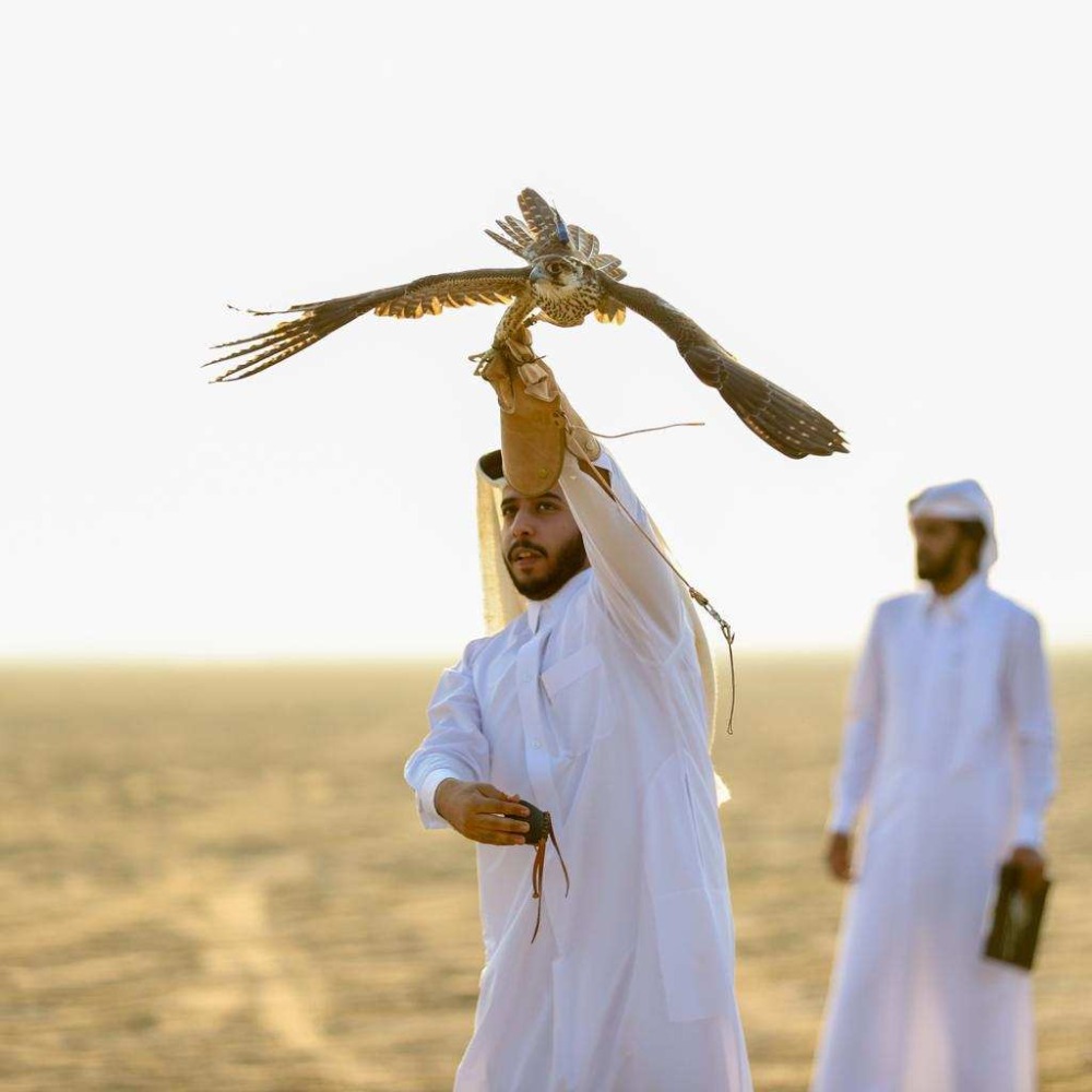 alarab