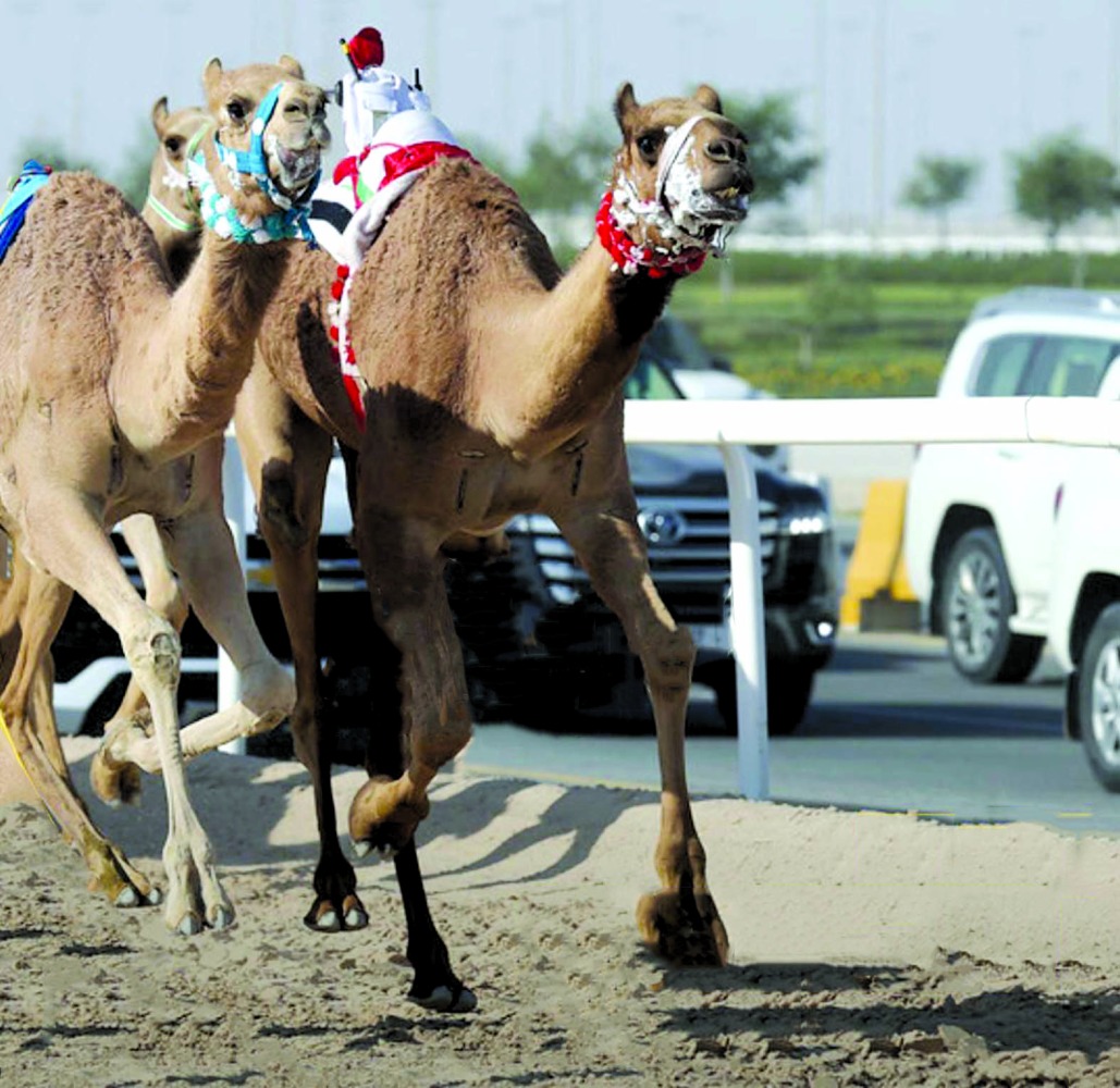 alarab