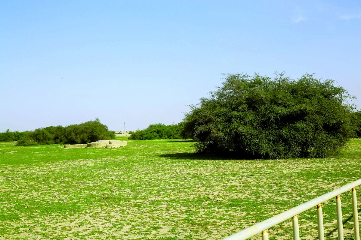 alarab