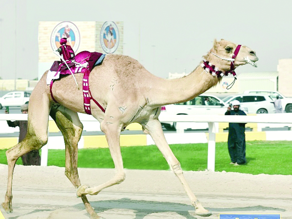 alarab