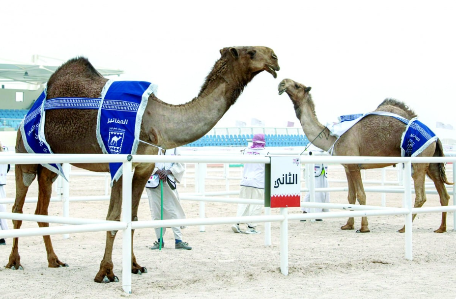 alarab