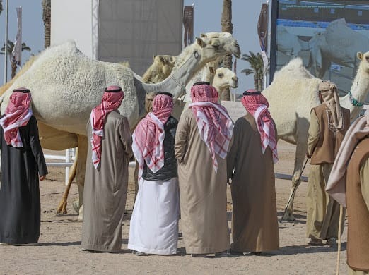 alarab