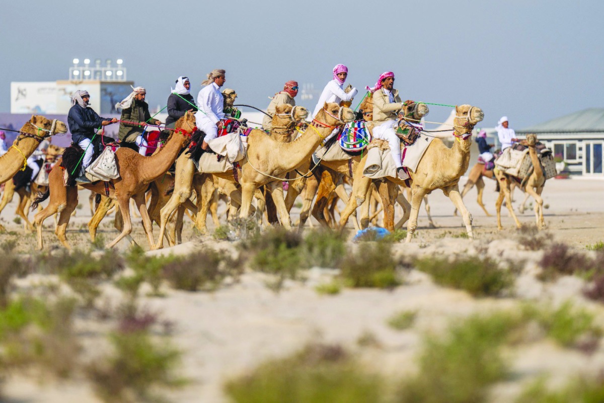 alarab