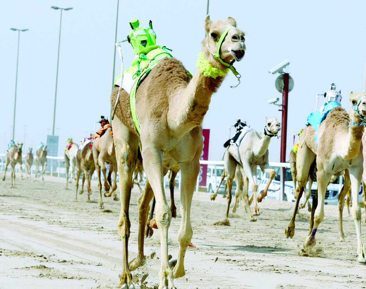 alarab