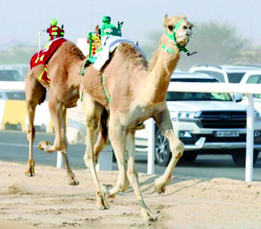 alarab