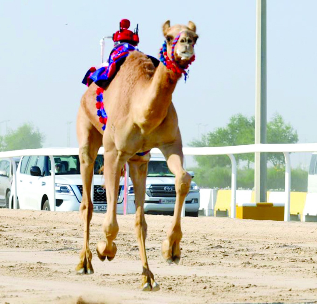 alarab