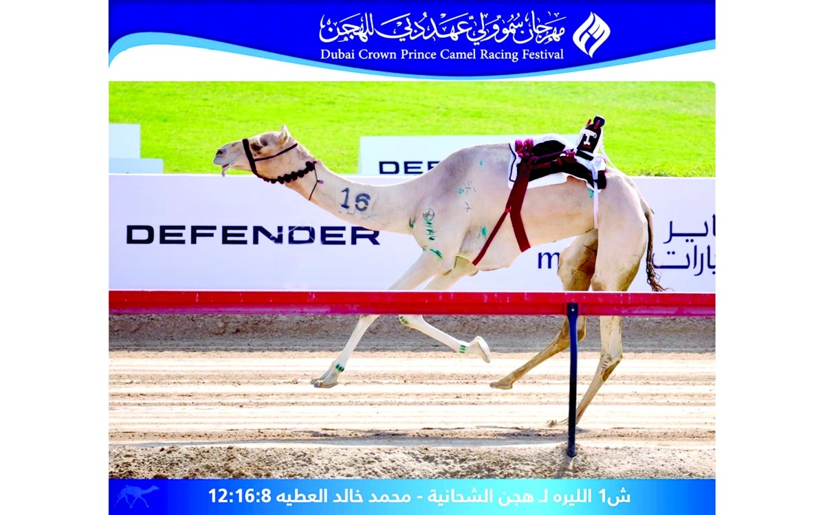 alarab