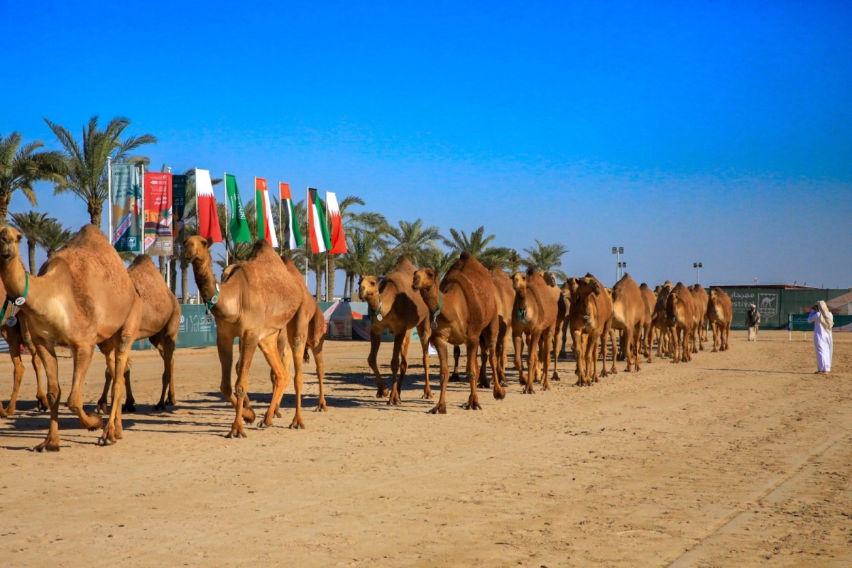 alarab