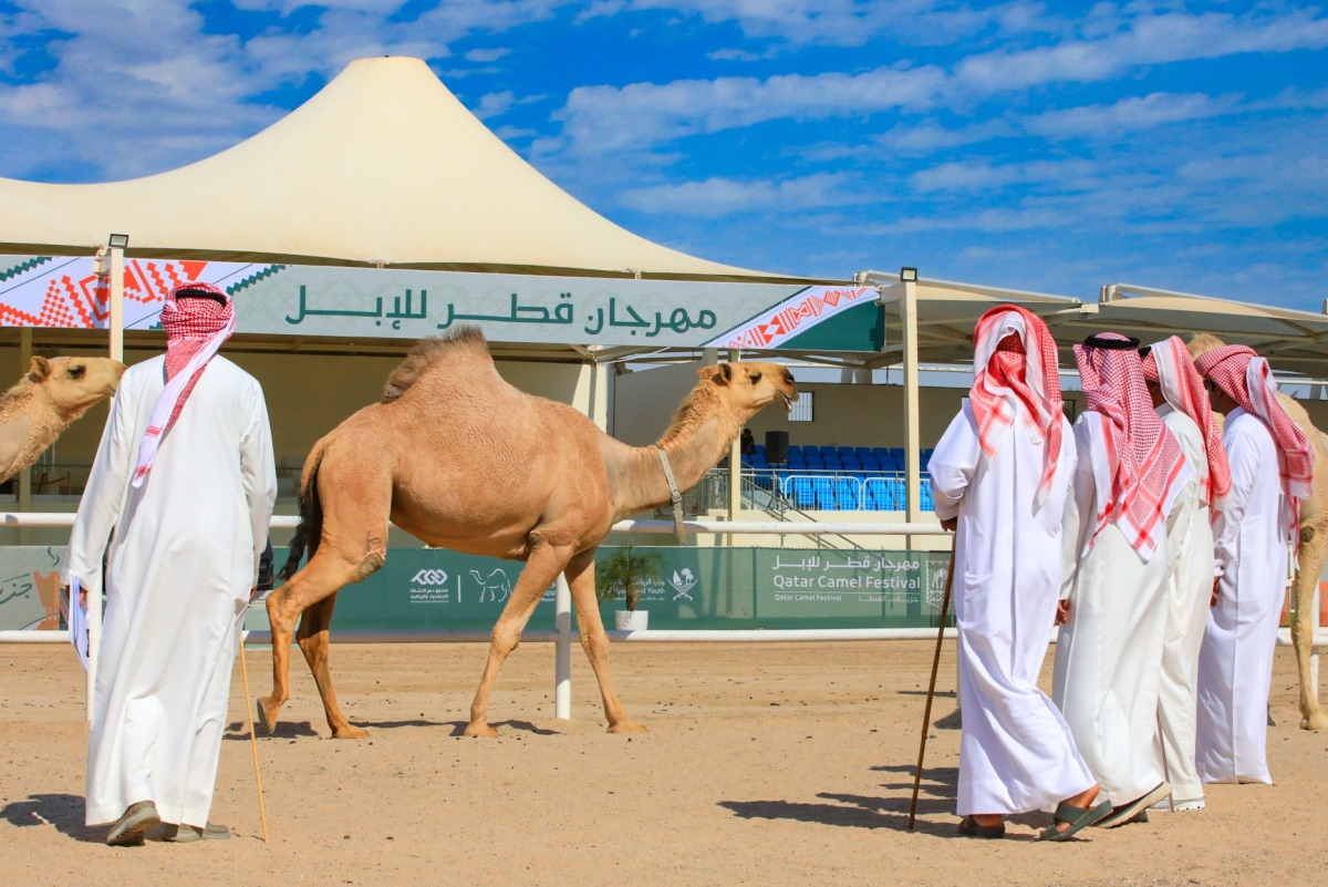 alarab