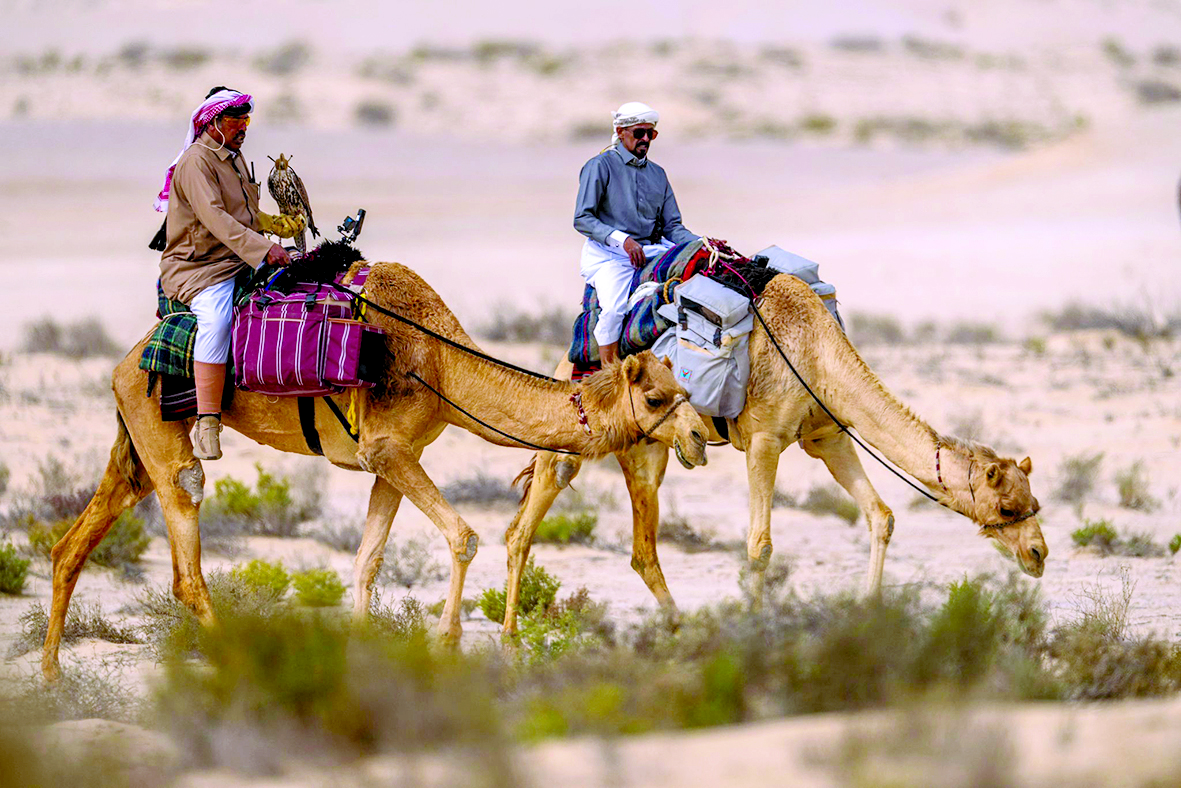 alarab