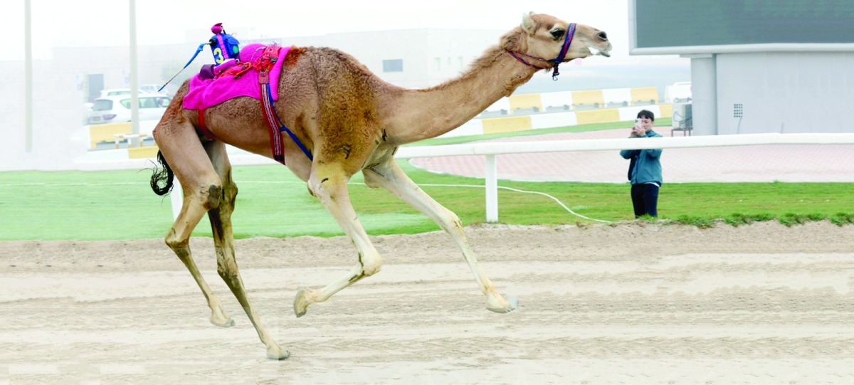 alarab