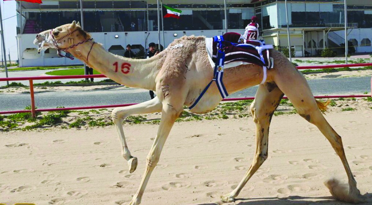 alarab