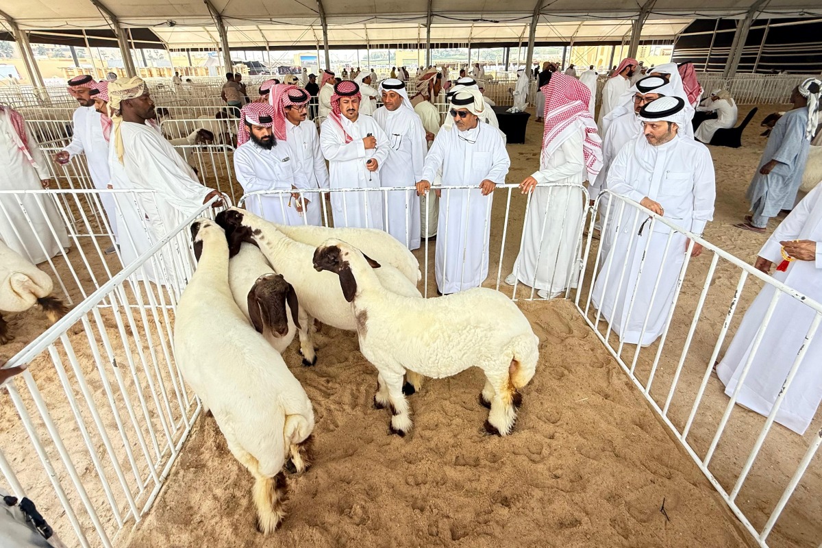 alarab