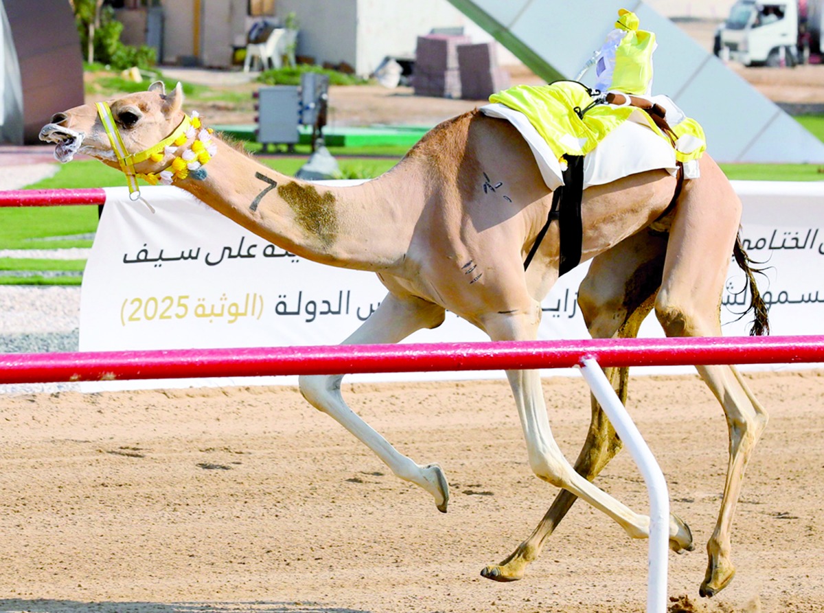 alarab