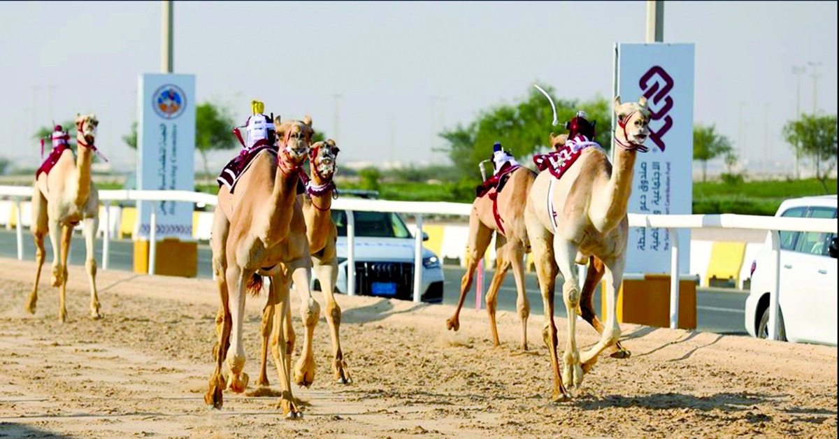 alarab