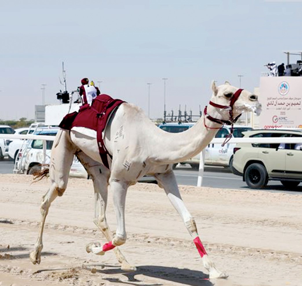 alarab