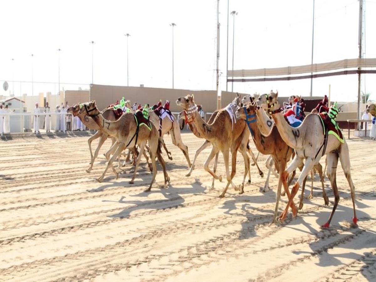 alarab