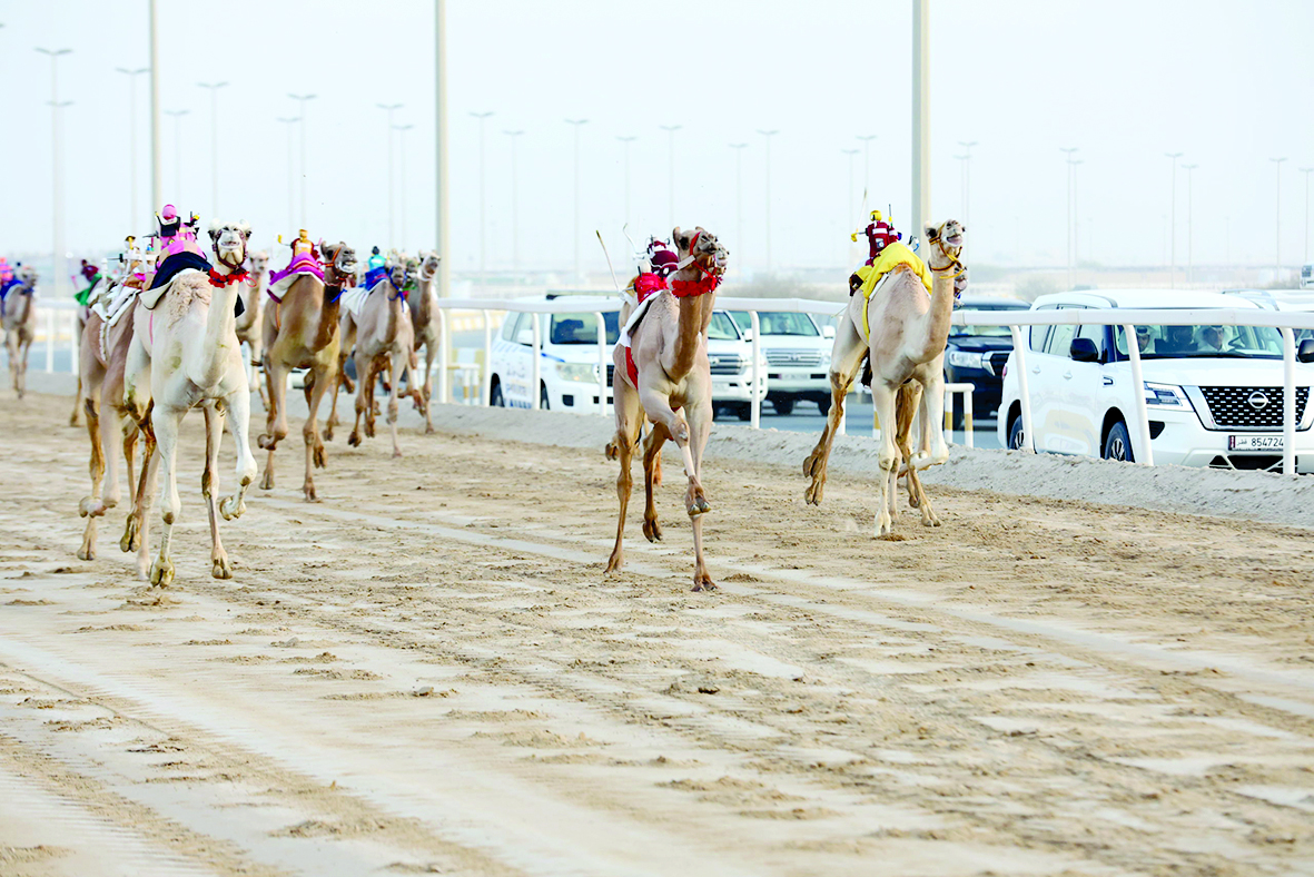 alarab
