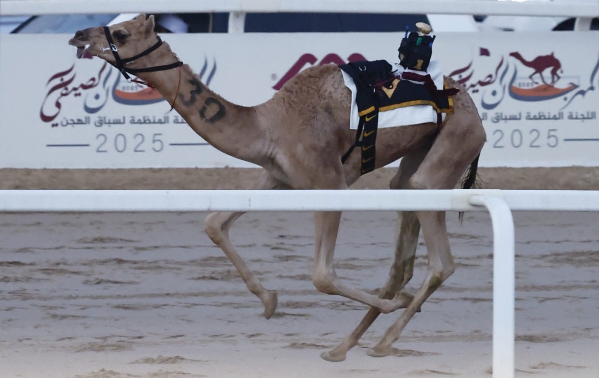 alarab