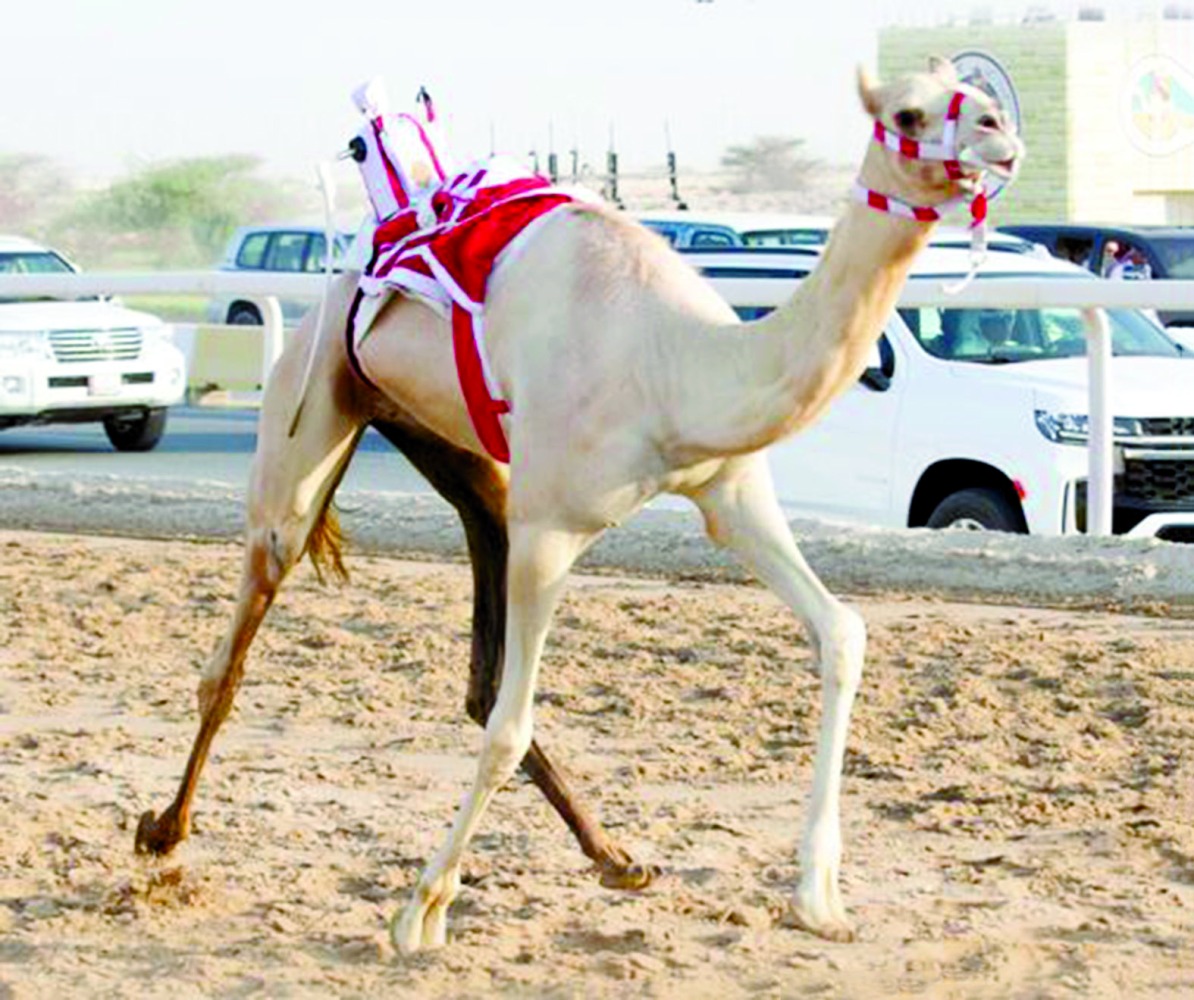 alarab