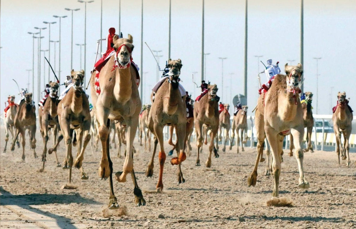 alarab